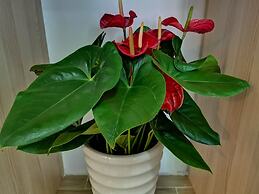 The Passion Man Hotel