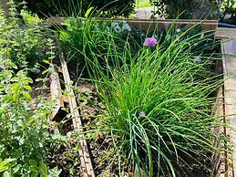 Il Nuraghe Del Lago Coghinas