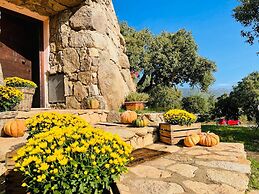 Il Nuraghe Del Lago Coghinas