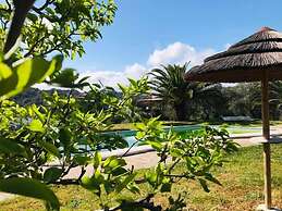 Il Nuraghe Del Lago Coghinas