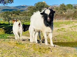Il Nuraghe Del Lago Coghinas