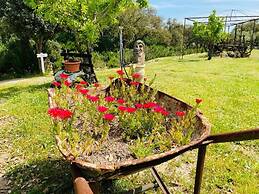 Il Nuraghe Del Lago Coghinas