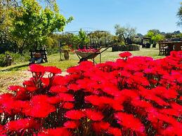 Il Nuraghe Del Lago Coghinas