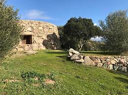 Il Nuraghe Del Lago Coghinas