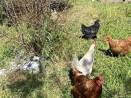 Il Nuraghe Del Lago Coghinas