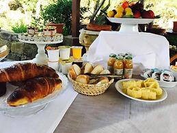 Il Nuraghe Del Lago Coghinas