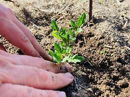 Il Nuraghe Del Lago Coghinas