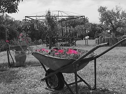 Il Nuraghe Del Lago Coghinas
