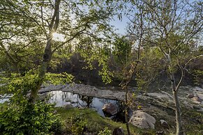 The Riverwood Forest Retreat - Pench
