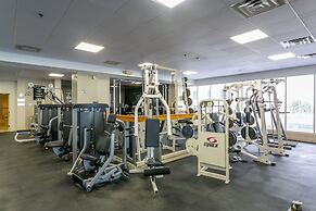 Lux One Bedroom Close to Wynwood