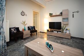 Blue Ark Athenian Nest