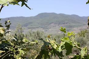 Antik Manastir Butik Otel