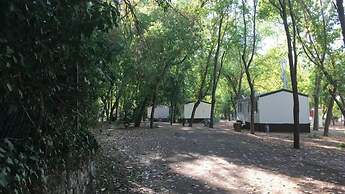 Camping La Fundición