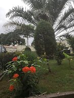 Dans un jardin au centre ville