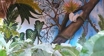 Casa Xtakay - Hostel