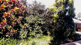 The Wilds Guest House