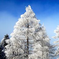 Alpengasthof Krische