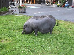 Alpengasthof Krische