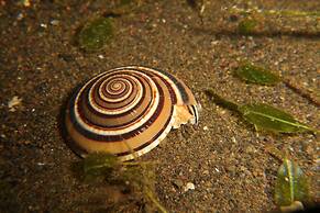 Nalika Beach Resort & Restaurant - Adults Only