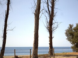 Affittacamere Ciuscia