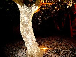 Affittacamere Ciuscia