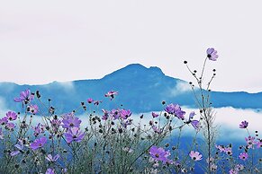 Just Like Natural Home Pension