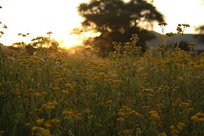 OUT OF Nature Country Lodge