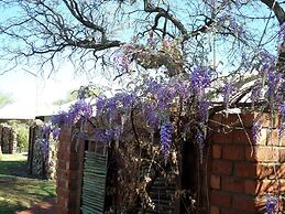 OUT OF Nature Country Lodge