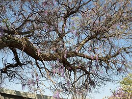 OUT OF Nature Country Lodge