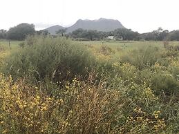 OUT OF Nature Country Lodge