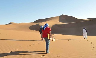 Bivouac Sahara Feeling