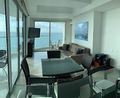 Palmetto Eliptic 1501