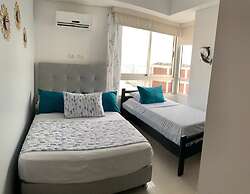 Palmetto Eliptic 2301