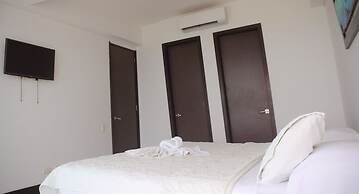 Palmetto Eliptic 1002