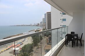 Palmetto Eliptic 1002