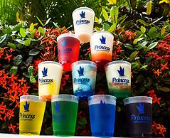 Princess Family Club Bavaro - All Inclusive