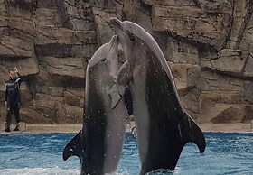 HOTEL MEDEA kvariati