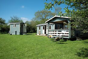 Safari Cornwall