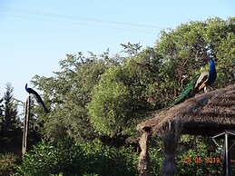 Les Trois Merveilles