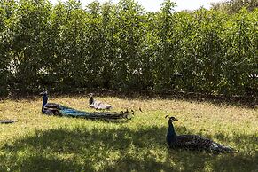 Les Trois Merveilles