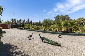 Les Trois Merveilles