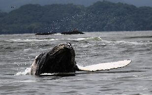 Bahia Rica Fishing & Kayak Lodge