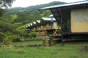 Wild Glamping