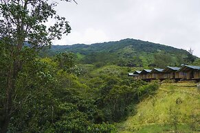 Wild Glamping