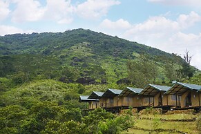 Wild Glamping