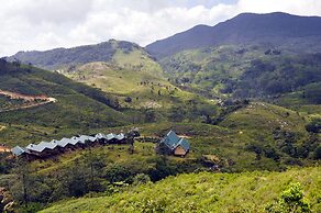 Wild Glamping