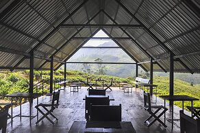 Wild Glamping