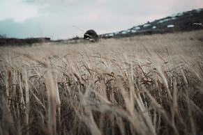 Bianco Diverso Suites