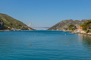 Hedera Estate, Hedera A24