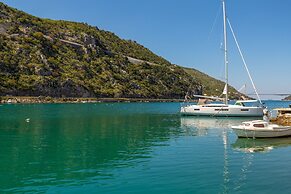 Hedera Estate, Hedera A24